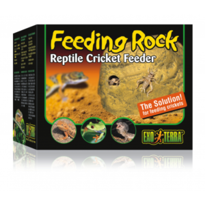 Exo terra feeding rock cricket feeder