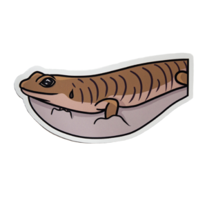 Reptile sticker sand swimmer skink sticker