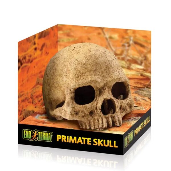 Exo Terra Primate Skull Reptile Enclosure Decor Skull Exo Terra Reptile Hide